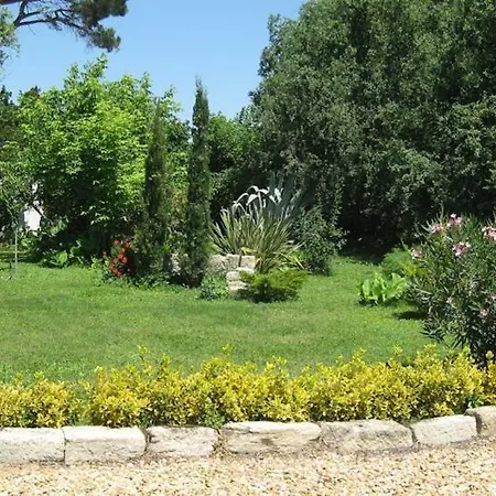 Guest house Seville - Mas Saint-louis - Piscine Chauffee *