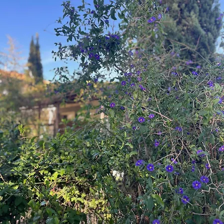 Seville - Mas Saint-louis - Piscine Chauffee Guest house