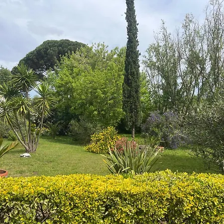 Seville - Mas Saint-louis - Piscine Chauffee Guest house